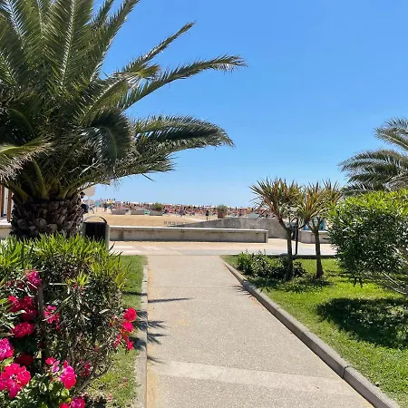 Апартаменти Molent -