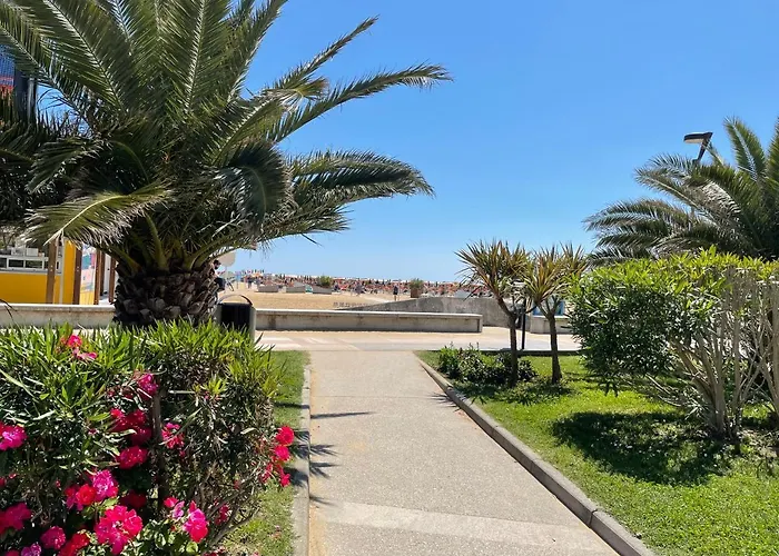 Апартаменти Molent -